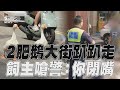 新竹2肥鵝大街趴趴走! 警勸遭飼主嗆:你閉嘴｜TVBS新聞@TVBSNEWS01