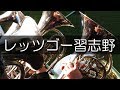 習志野 レッツゴー習志野 星稜戦での同点シーン 2019春 第91回 センバツ高校野球