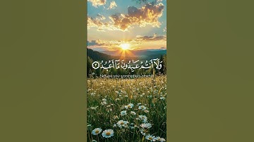 أجمل تلاوة هادئة سوف تسمعها اليوم🍃🌹 |  #اكسبلور #القرآن