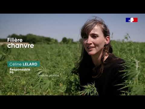 L'agence de l'eau Loire-Bretagne s'engage pour accompagner la transition écologique de l'agriculture