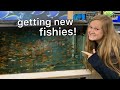 buying & setting up my new fish tank!!