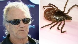 Kris Kristofferson's memory loss caused by Lyme disease