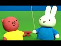 Miffy Empina Pipa! | Miffy | Desenhos Para Crianças