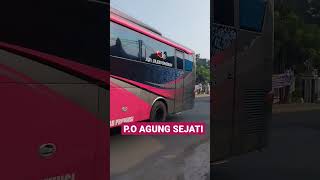 BASURI AGUNG SEJATI #basuri #bismania #telolet #shorts