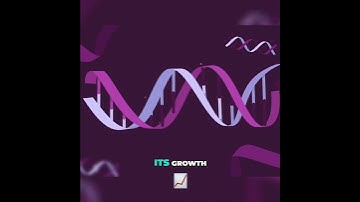Understanding Miscarriages: The Genetic Culprits