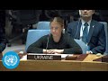 Ukraine: UN Security Council | United Nations | Full