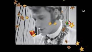 Watch Johnny Hallyday San Francisco be Sure To Wear Flowers In Your Hair video