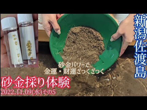 佐渡 砂金 佐渡西三川ゴールドパーク