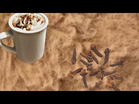 Kitttyg - Nutmeg Spice (Audio) 