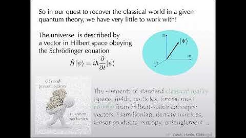 Sean Carroll - Extracting the Universe from the Wave Function​