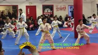 TAEKWONDO PUNCHING & KICKING. GREEN STRIPE BELT GROUP