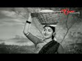 NTR Old Songs | Kalasi Vunte Kaladu Sukham | Mudda Banthi Poolu Song |NTR, Savitri| Old Telugu Songs Mp3 Song