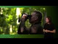 Chris Packham S Personal Message On The Decline Of The Spotted Flycatcher Springwatch 2023 Signed Chris Packham S Personal Message On The Decline Of The Spotted Flycatcher Springwatch 2023 Signed