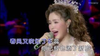 王紫菲【往事只能回味】现场版MV