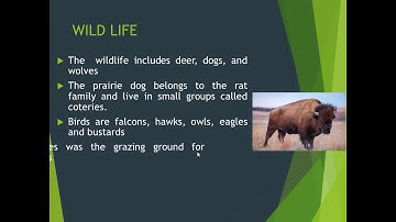 STD 5 - SOCIAL SCIENCE - CH 8 - THE TEMPERATE GRASSLAND