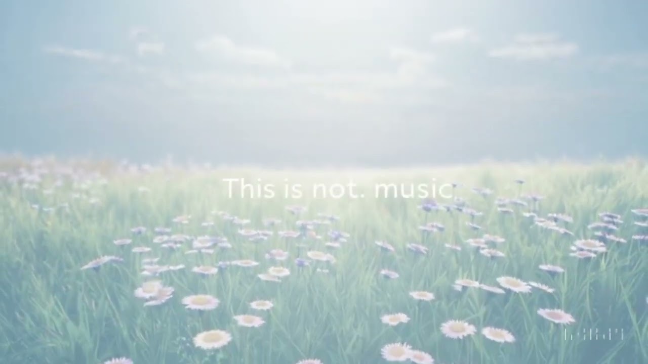 Quiet Habitat — Natural Calm State