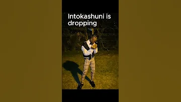 Intokashuni Blaq Diamond Inkabirecords 