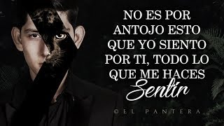 Video thumbnail of "(LETRA) ¨Y SI TE DIGO¨ - Pantera De Culiacán Sinaloa (Lyric Video)"