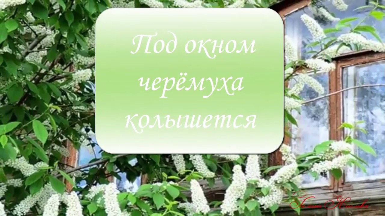 Под окном черемуха колышется с этим ветром