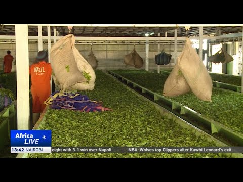 Uganda to form its own tea auction