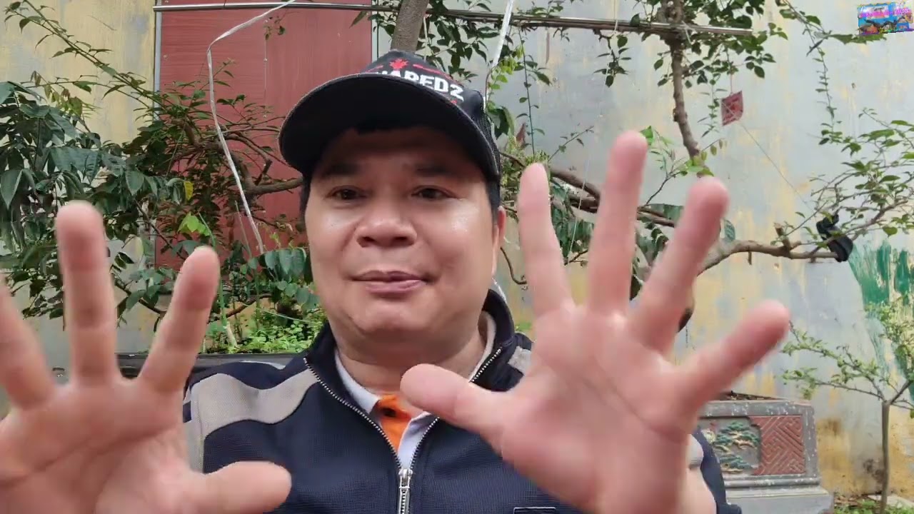 Phân tích ưu ,nhược điểm của các dòng cám trên thị trường.. tư vấn Zalo 098 240 3920