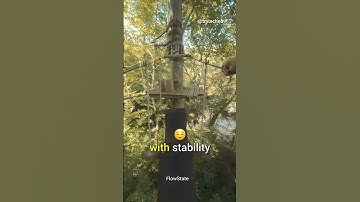 CRAZY stabilization tool.. 🤯. #shorts #insta360 #stability