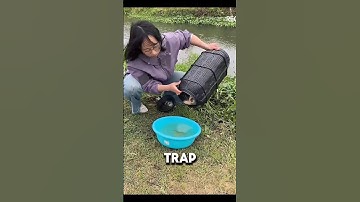 Amazing fishing trap Gadget Items, versatile & utensils #shorts