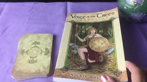 flip* Voice of the Trees (31)