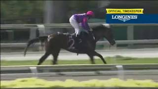 Singapore 20171103 race 7 DREAM COMES TRUE