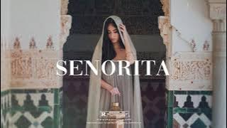 'Senorita' - Rema x Wizkid Type Beat