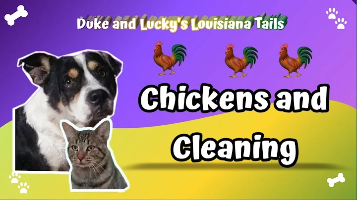 Chickens Making Trouble