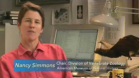 Inside View: Nancy Simmons on Extreme Mammals