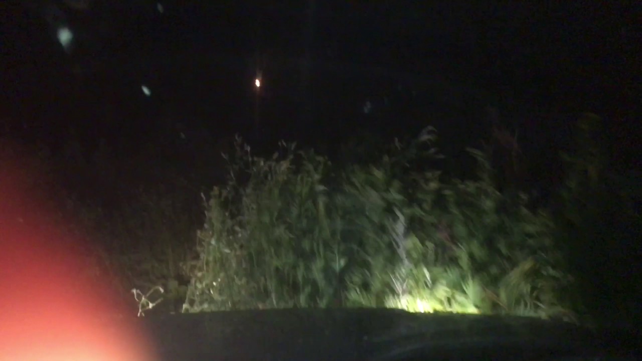 ВАЗ 21070 против ТРАВЫ - YouTube