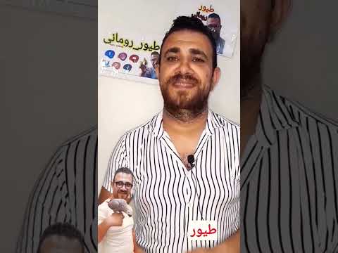 متى يبداء موسم انتاج الطيور
