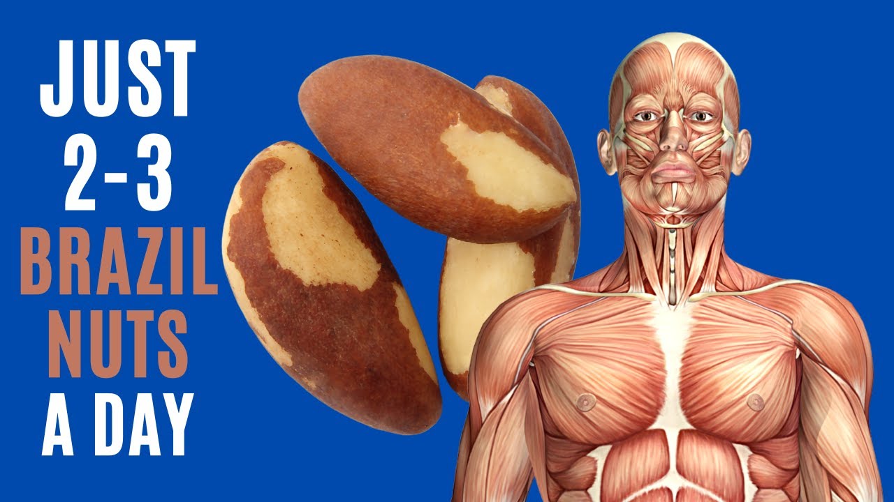 Brazil Nuts Benefits Are Insane And You Need To Eat Only 2 to 3 Per Day!