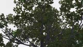 Miss Me Not Trailer-Sims3 by April Haug