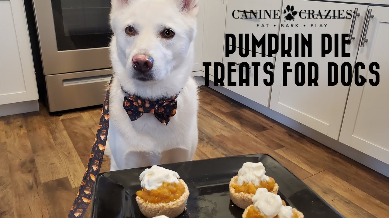 Pumpkin Pie Treats for Dogs