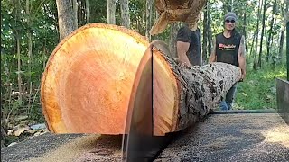 Strong and Skillful ‼ Sawing mahogany and teak wood  assembled serkel machine