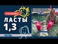 Ласты в 1,3 🌎 Fins at 1.3