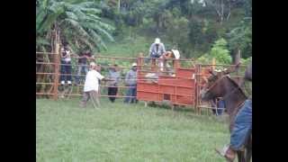 jaripeo 100% ranchero de piedra ancha san pedro teutila