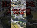 日本のアホな大学6