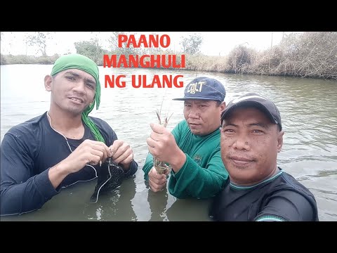 Video: Paano Makakain Ng Ulang