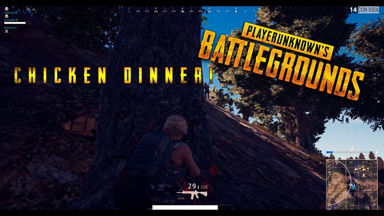 Playerunknown S Battlegrounds Chicken Dinner Youtube