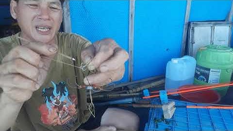 Hướng dẫn cách cột rường câu cá , dò , nâu , dìa ,từ A đến z :