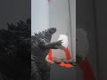 Goji eats a marshmallow #godzilla