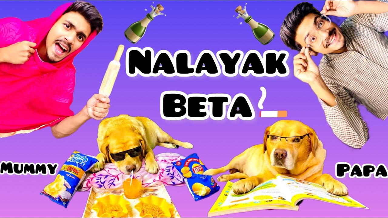 Nalayak beta  comedy video  Talking dog leo  Anant rastogi