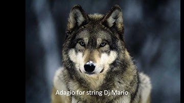FL studio- Dj Mario Adagio for String