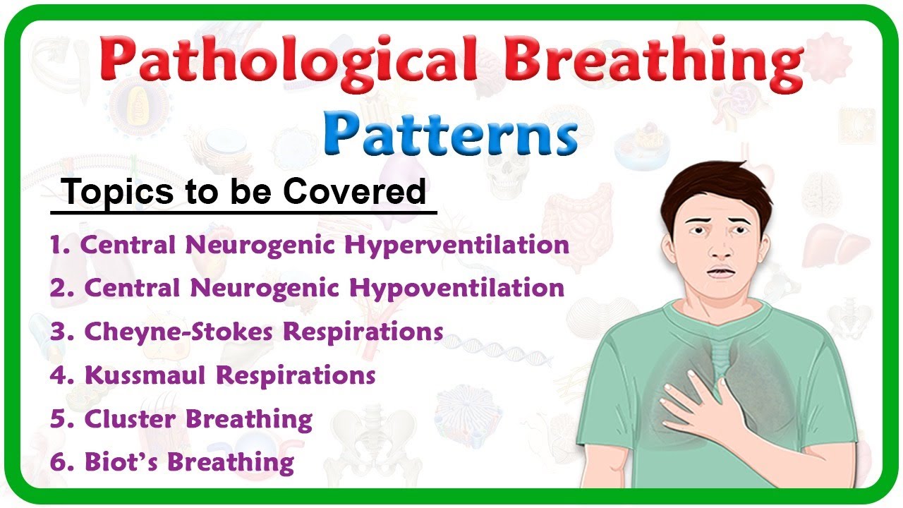 Pathological breathing / Abnormal breathing patterns : Kussmaul, Cheyne  stokes, Biot's, Cluster 