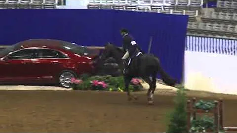 Video of TRIOMPF ridden by LORETTA PATTERSON from ...
