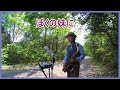 ぼくの妹に 2020.5.6 テナーサックスで懐かしのメロディー #テナーサックス #加山雄三